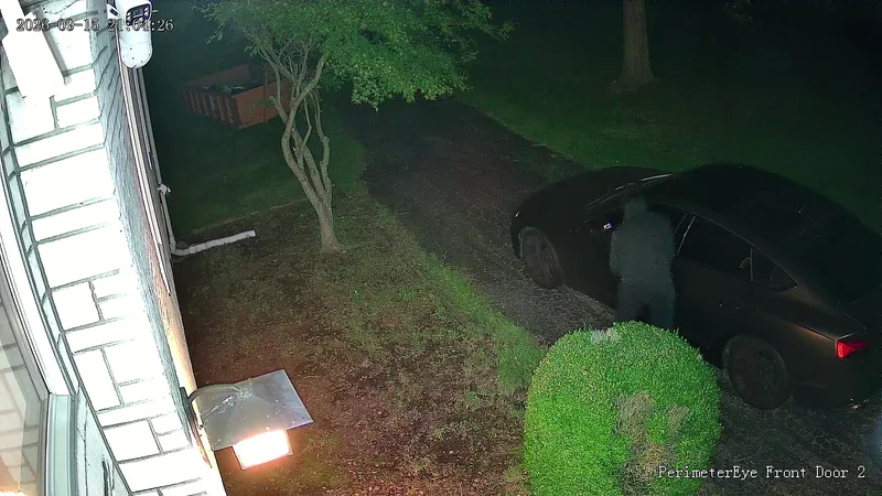 Plain night camera view of a person at the driver’s door of a parked car